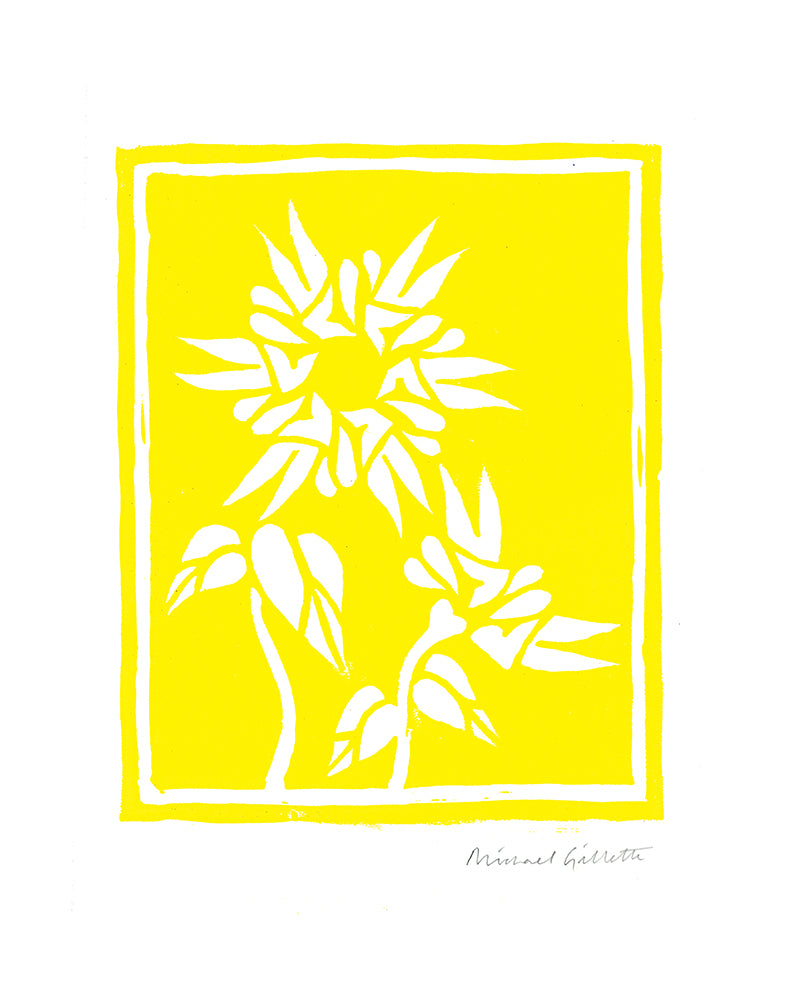 Peace Bloom (Framed)